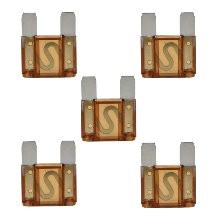 20-100 Amp Large Blade Style Audio MAXI Fuses for Car RV Boat Auto (5 Pack) The Wires Zone