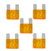 20-100 Amp Large Blade Style Audio MAXI Fuses for Car RV Boat Auto (5 Pack) The Wires Zone