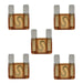 20-100 Amp Large Blade Style Audio MAXI Fuses for Car RV Boat Auto (5 Pack) The Wires Zone