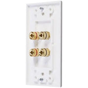 Ethereal IHT-BNDPSTX4 Banana Binding Post Wall Plate for Dual Speakers Ethereal