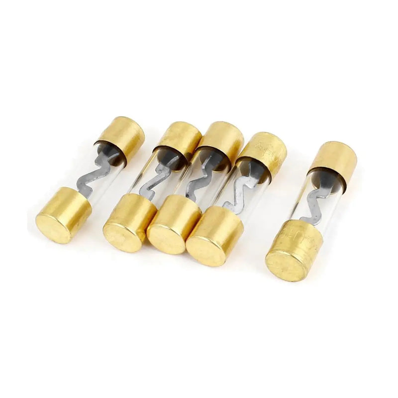 Gold Plated Dual AGU Fuse Holder 4/8 Gauge Power or Ground with Pack of 5 30-120 Amp Fuses The Wires Zone