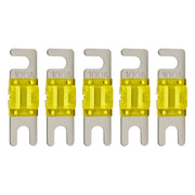 High-quality Nickel Plated 60-200 Amp Mini ANL Fuse (5 pack) The Wires Zone