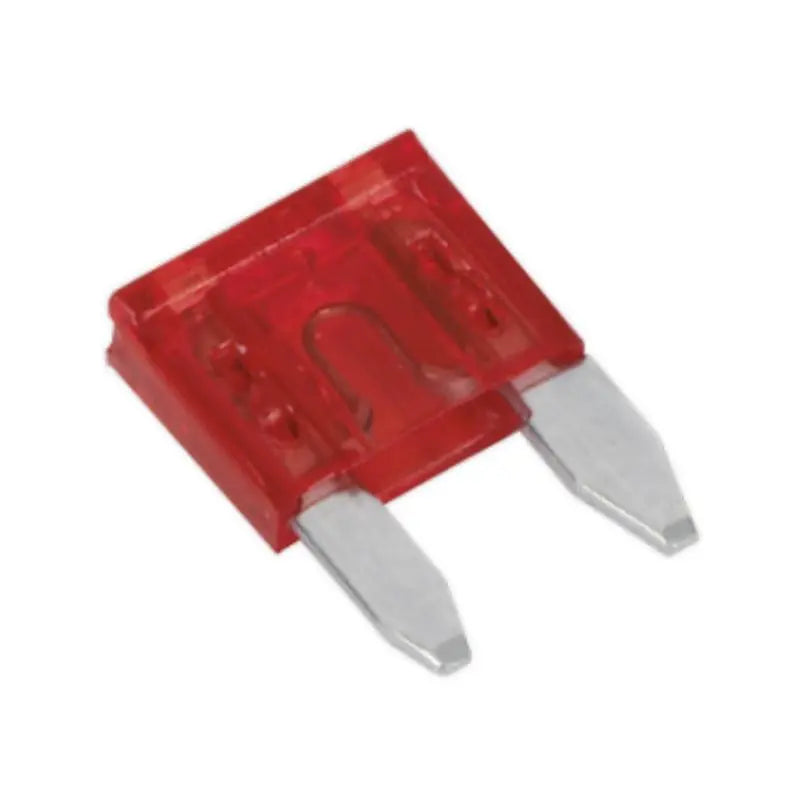 MINIF40 10 Pack Mini Blade Fuses ATM 40 Amp For Auto Car Motorcycle & more 40A The Wires Zone