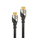 Monster Cable Platinum Ultra High Speed HDMI Cable with Ethernet Others