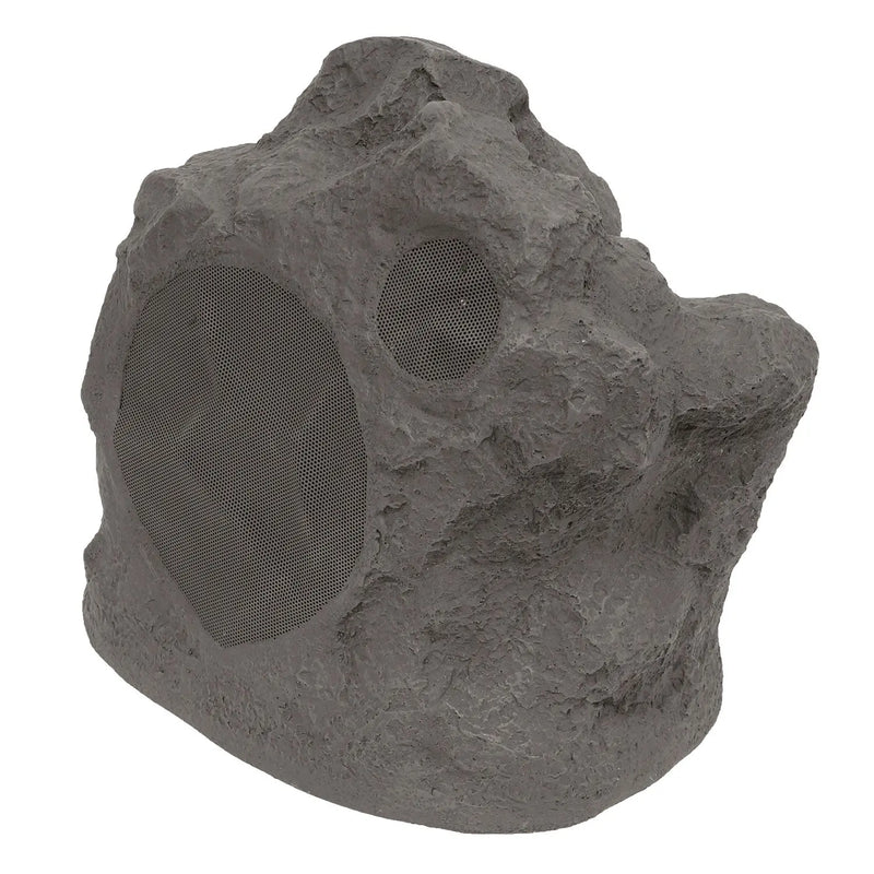 Niles RS6 Pro 6" Two-Way High Performance Weatherproof Rock Loudspeaker Niles