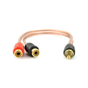 Raptor RCA600-Y2 6-inch Gold Male to 2 Female RCA Y Adapter Splitter Audio Cable 6" (1-10 pack) Raptor